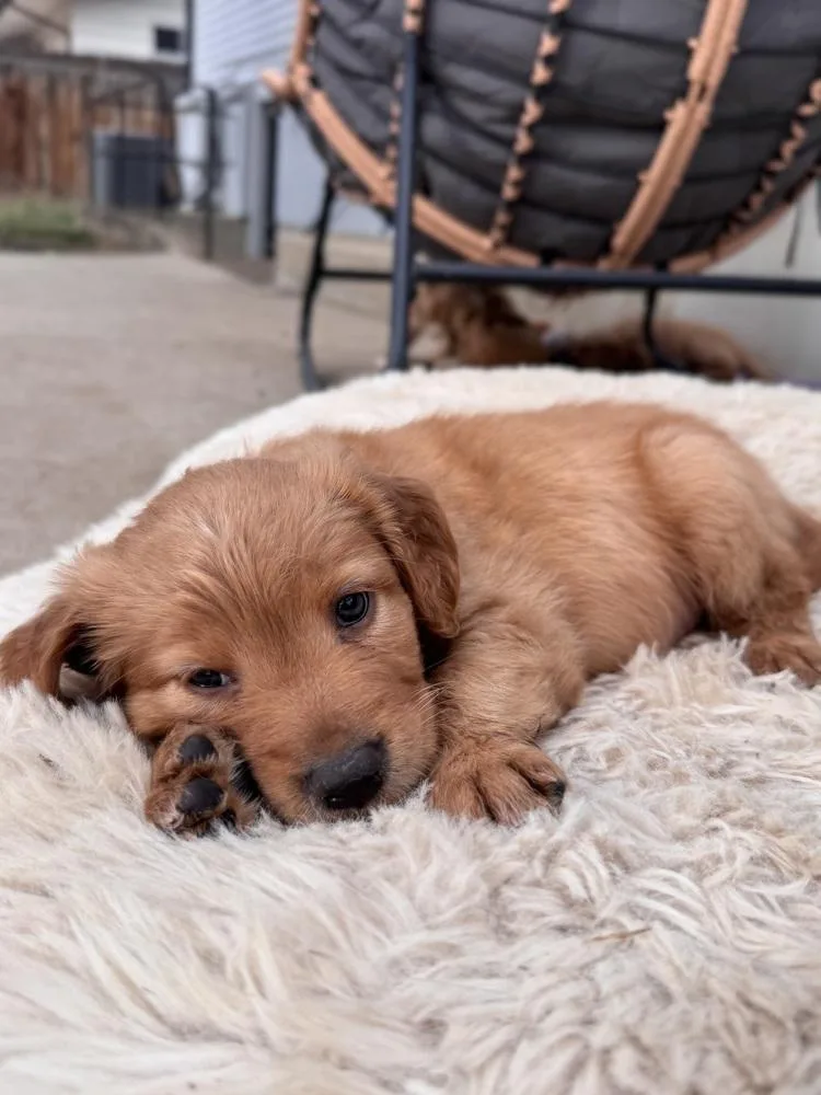 Chernomaz  Canyon thumbnail 2