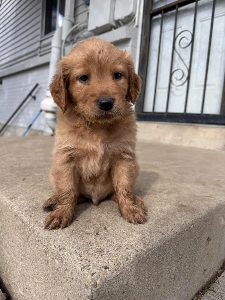 Chernomaz  Canyon thumbnail 3