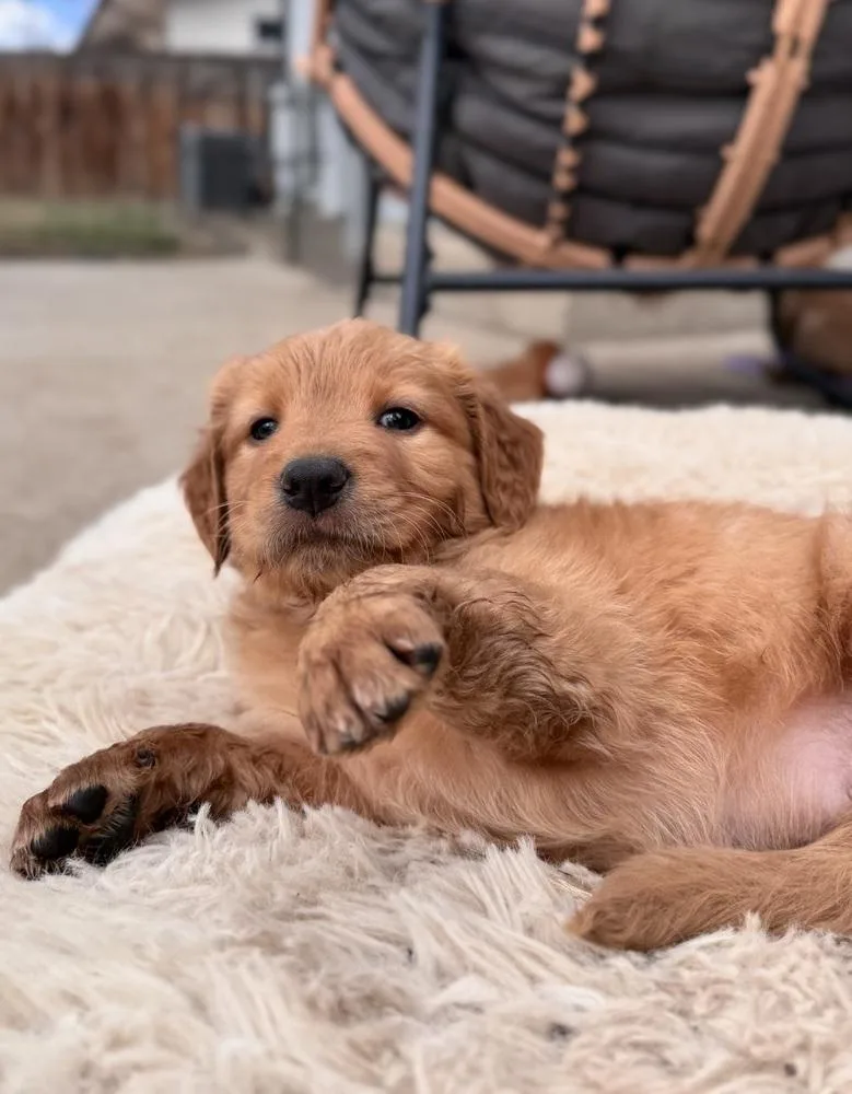 Chernomaz  Canyon thumbnail 4