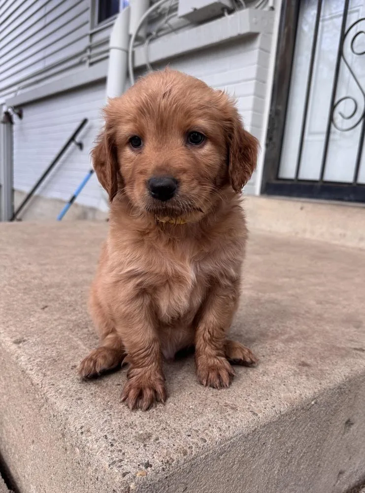 Chernomaz  Canyon thumbnail 6