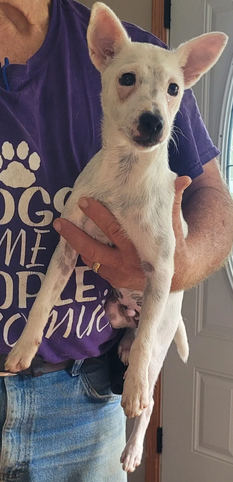 Yogi Bear thumbnail 2