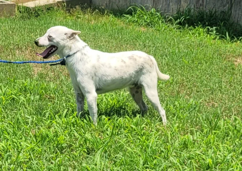 Yogi Bear thumbnail 5