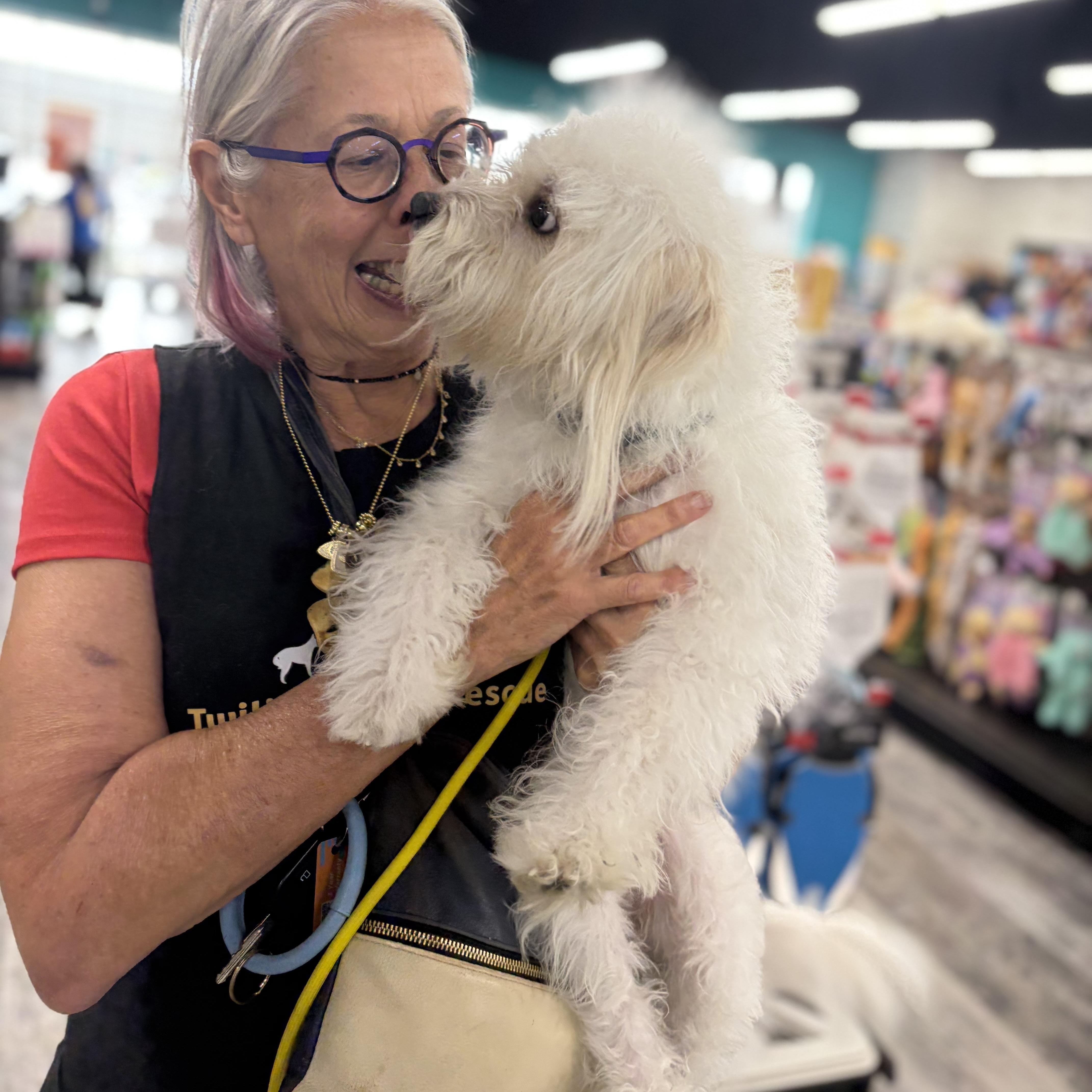 Roccoa Journey Home thumbnail 5