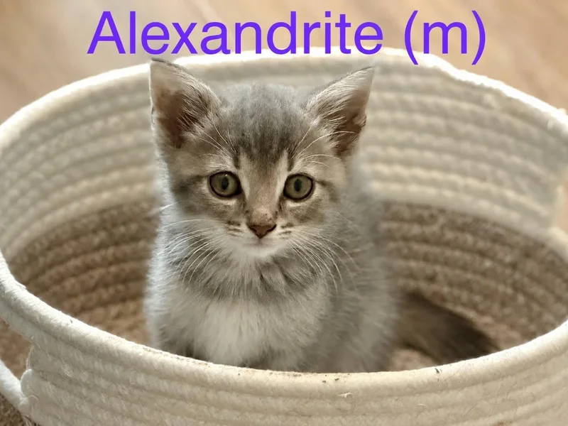 Alexandrite