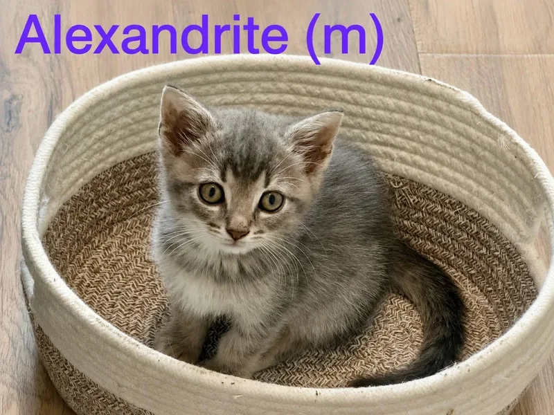 Alexandrite thumbnail 2