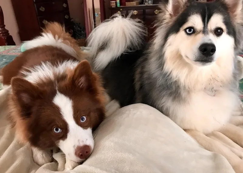 Mocha thumbnail 2