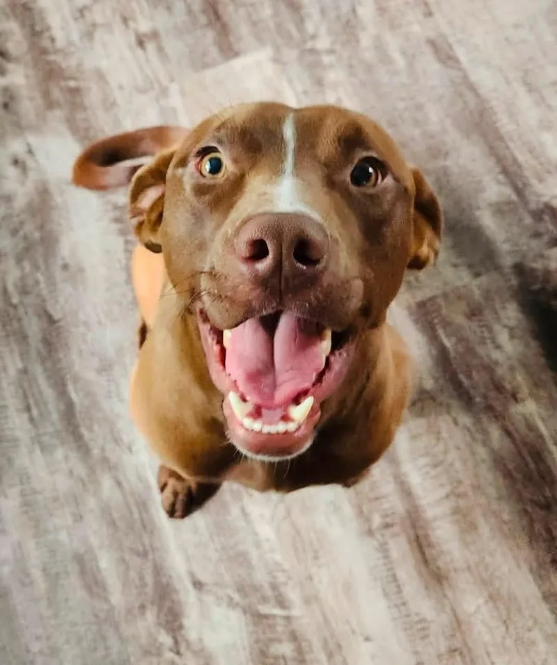 Lenny