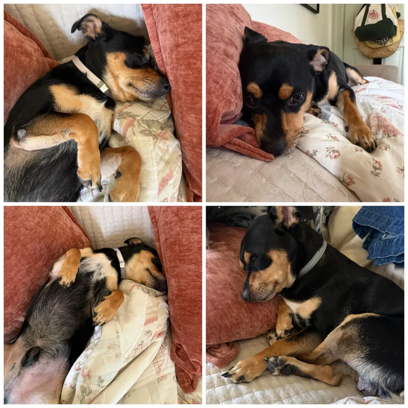 Kingston thumbnail 3