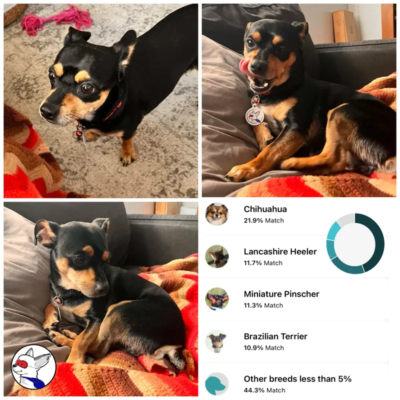 Kingston thumbnail 5