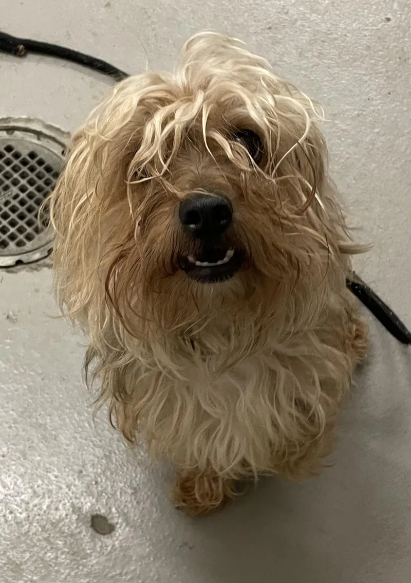 Jetson Hold thumbnail 2