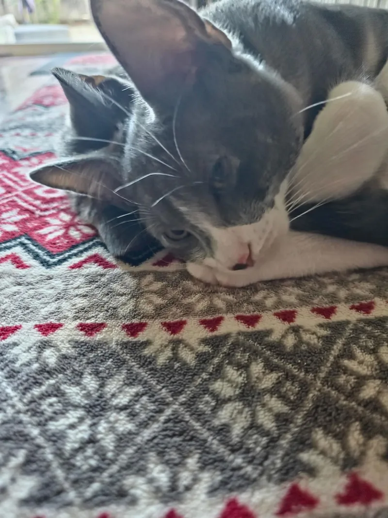 Grayson & Mason thumbnail 2