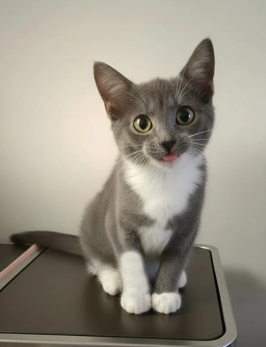 Grayson & Mason thumbnail 3