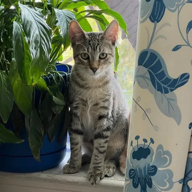 Jordan Davis thumbnail 2