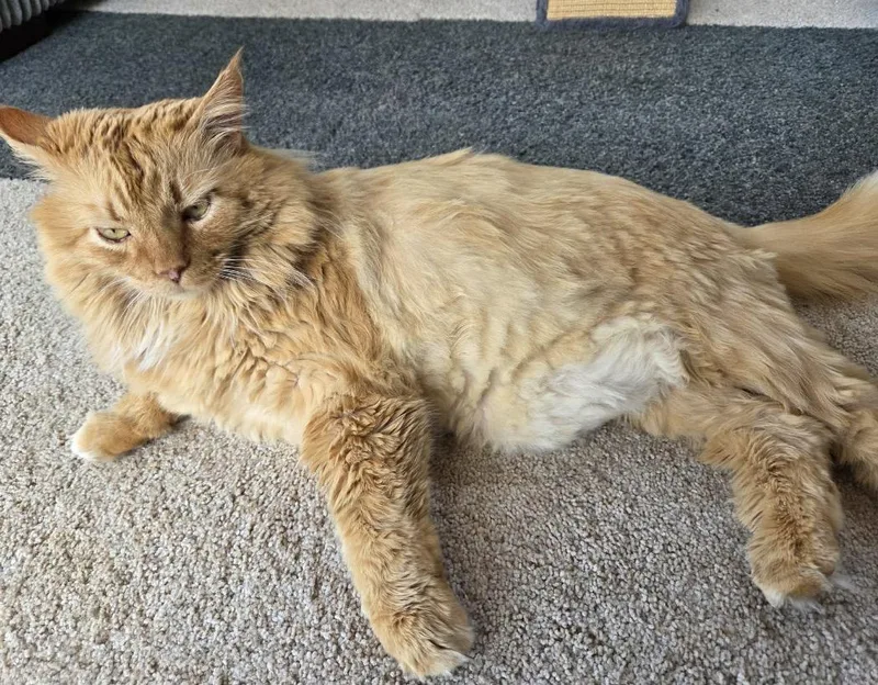Bobby thumbnail 4
