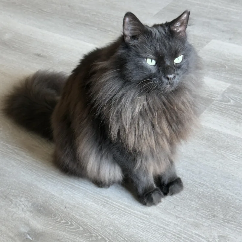 Superman thumbnail 2