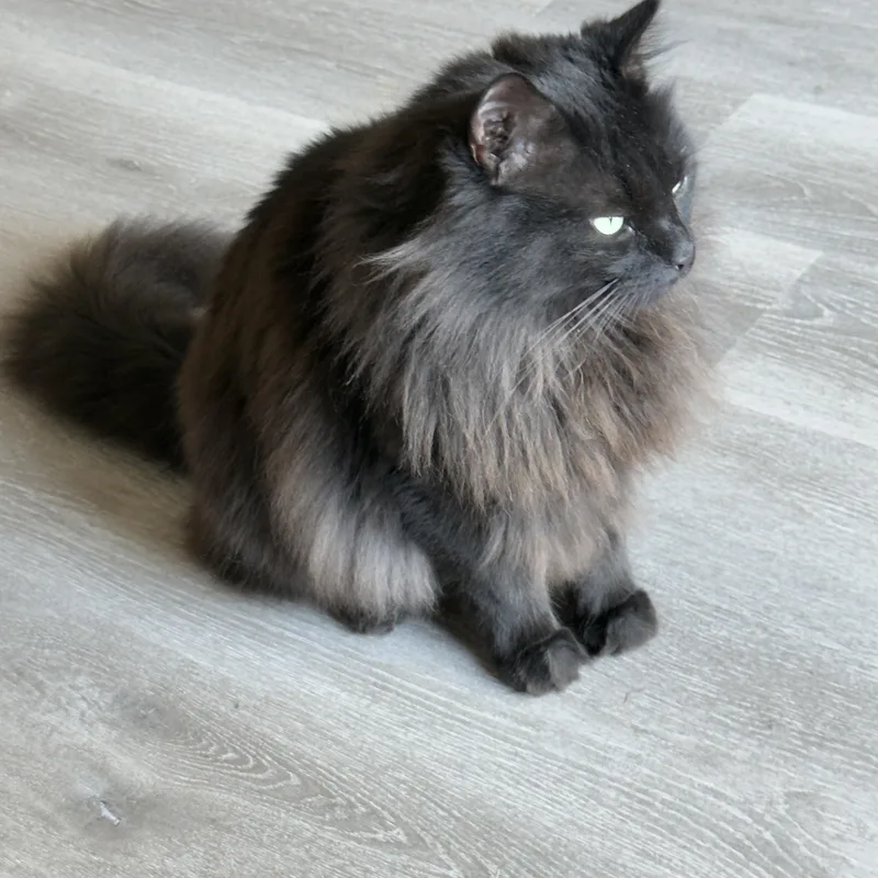 Superman thumbnail 4