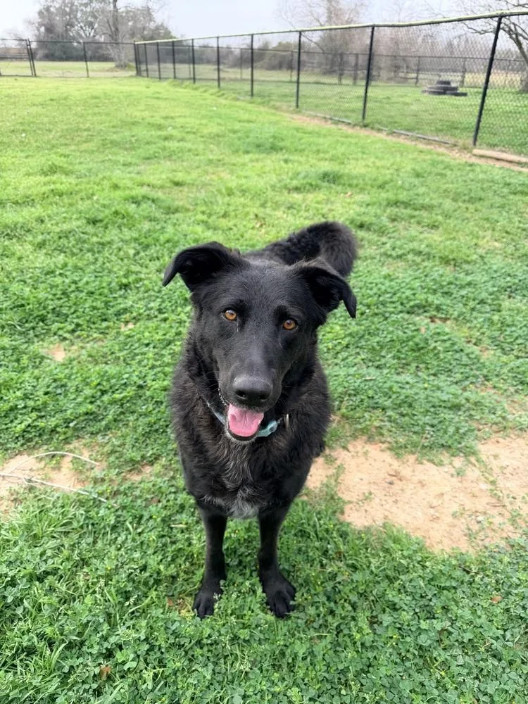 Daisy Mae thumbnail 2