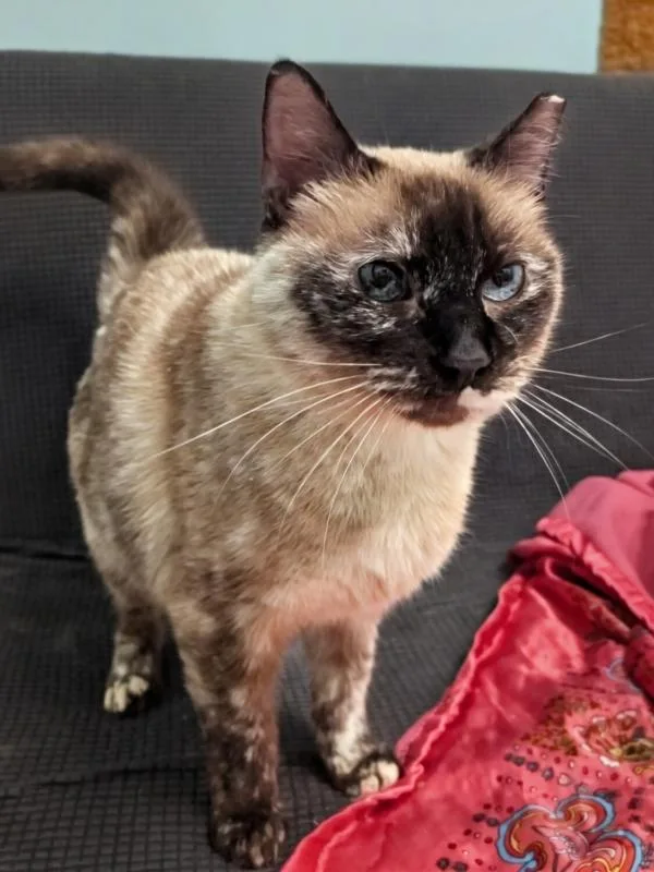 Vivian