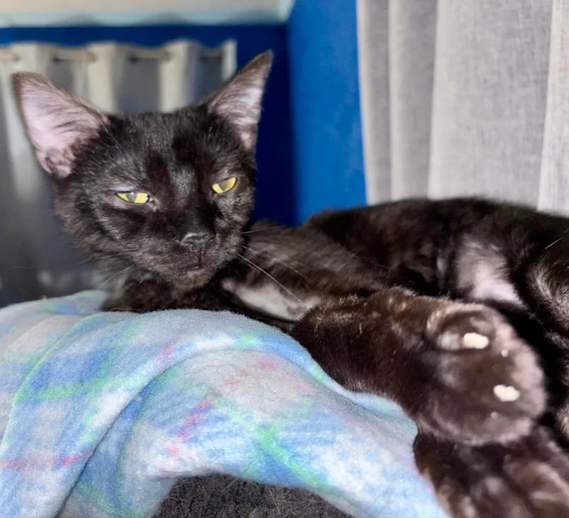 Bobby Mcgee thumbnail 3