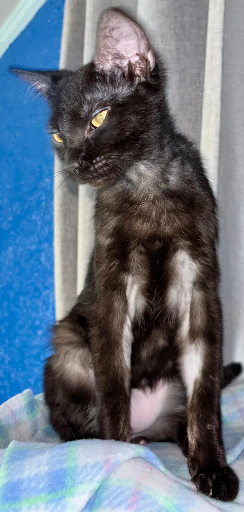 Bobby Mcgee thumbnail 5