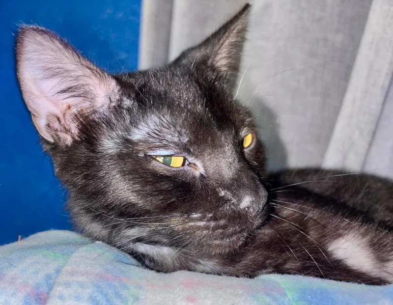 Bobby Mcgee thumbnail 6