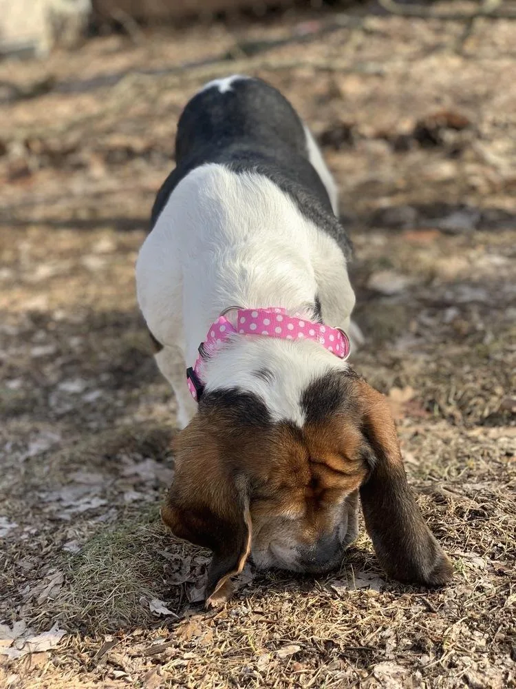 Meredith thumbnail 2