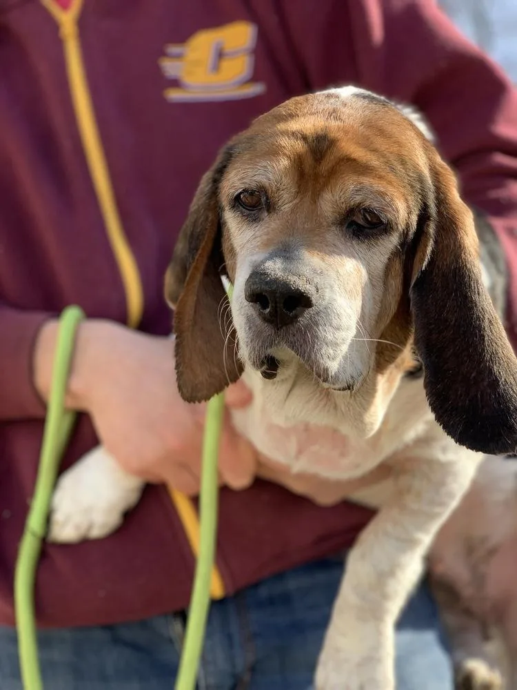 Meredith thumbnail 3