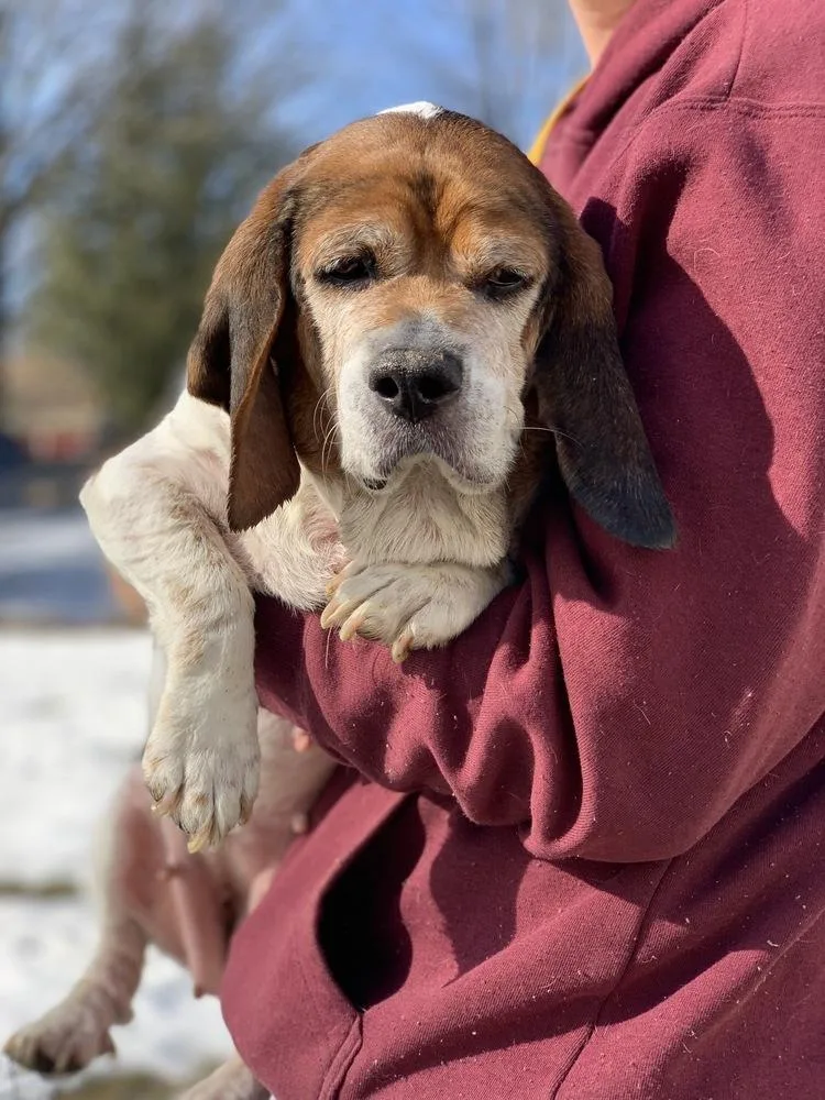 Meredith thumbnail 4