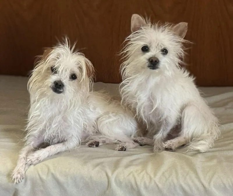 Bert And Ernie thumbnail 2