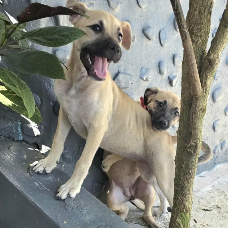 Zaphira "miss Cutie Pie!" thumbnail 3