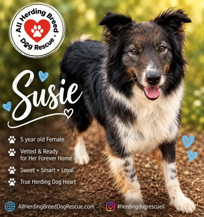 Susie
