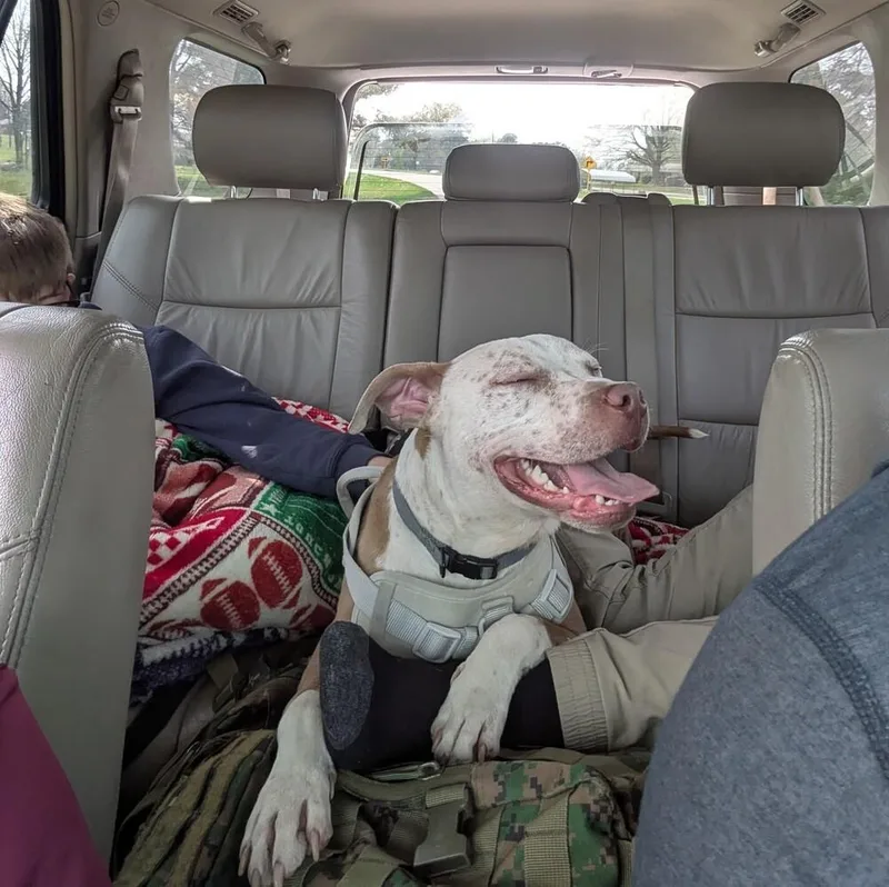 Tater Tot thumbnail 5