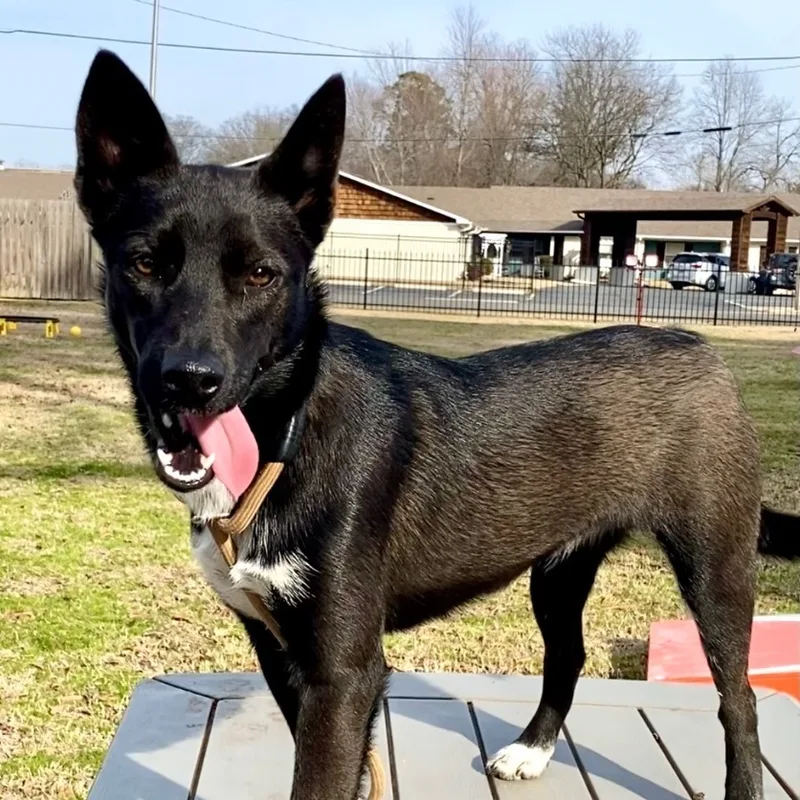 Georgia Urgent thumbnail 2