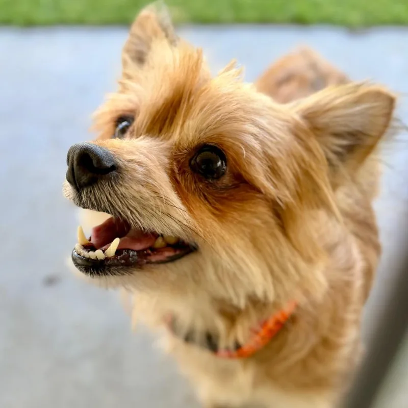 Marlee  Missouri Ap