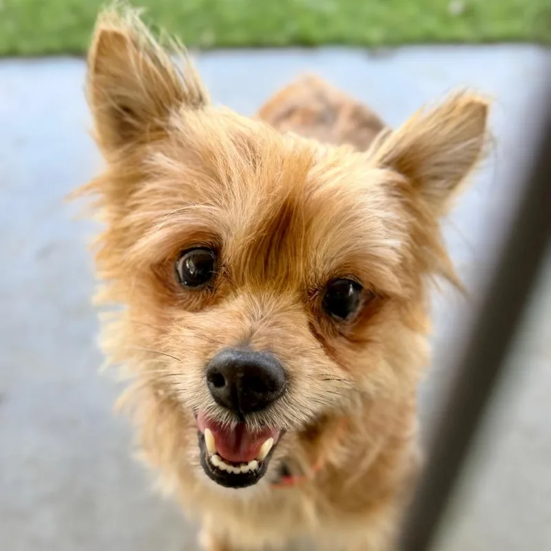 Marlee  Missouri Ap thumbnail 2