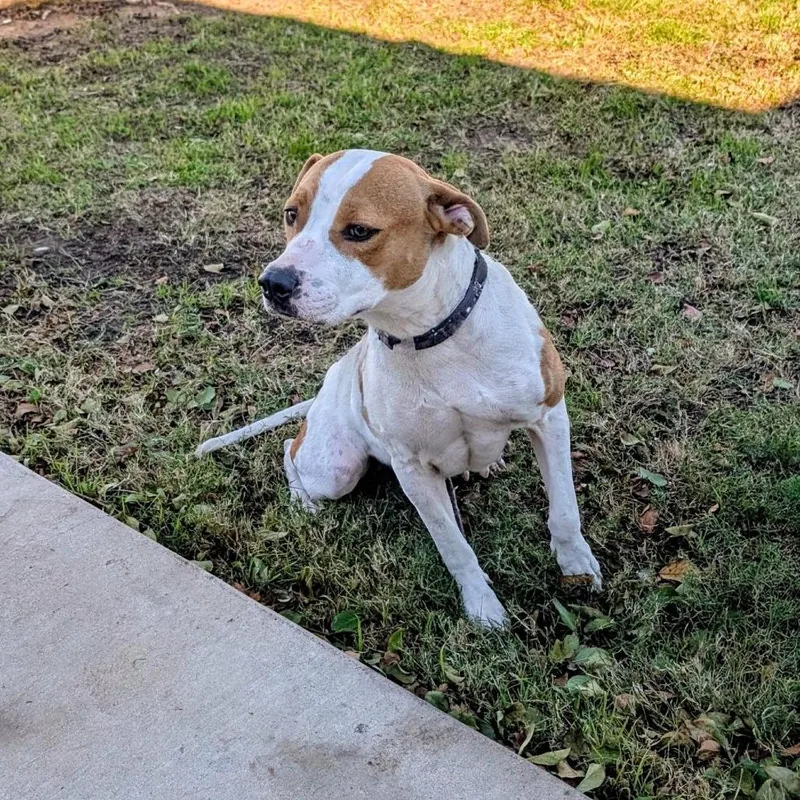 Crackers thumbnail 6