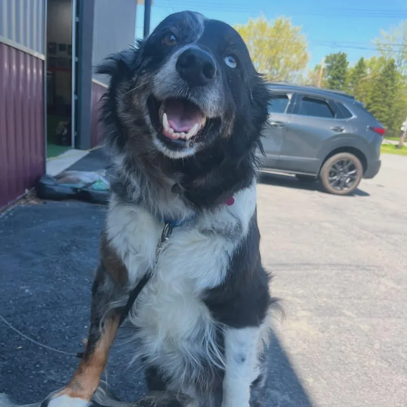 Doris
