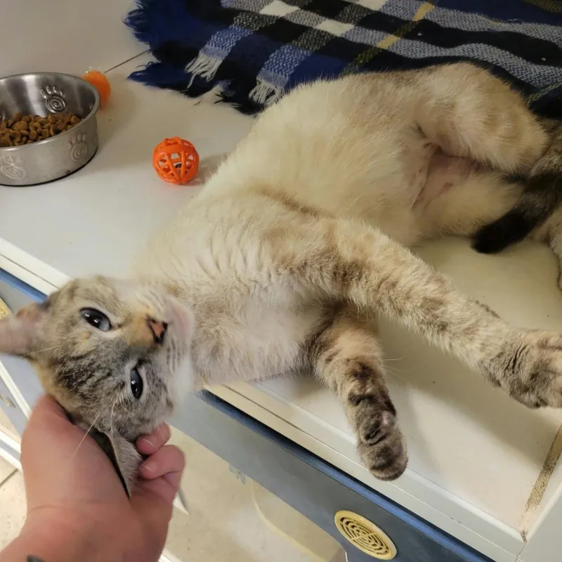 Celia Mae thumbnail 2