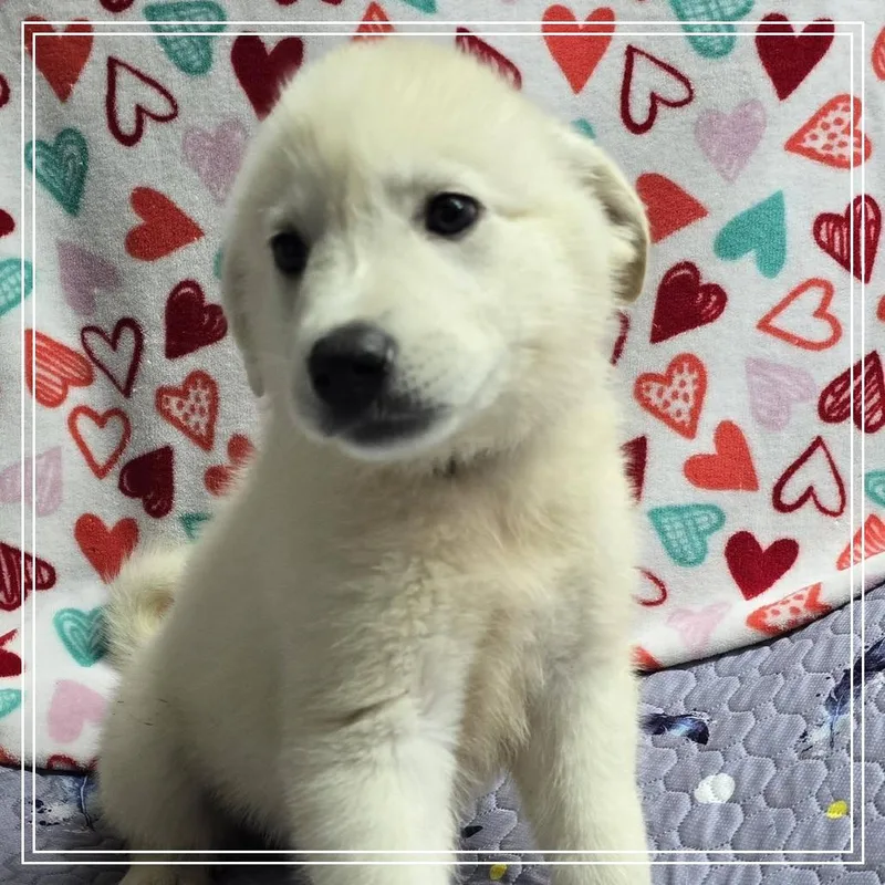 Willow Woods thumbnail 2