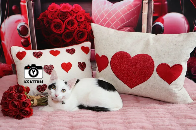 Red Wine Supernova thumbnail 3