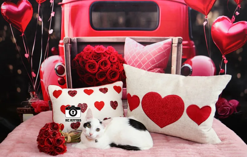 Red Wine Supernova thumbnail 4