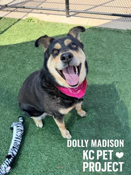 Dolly Madison thumbnail 2