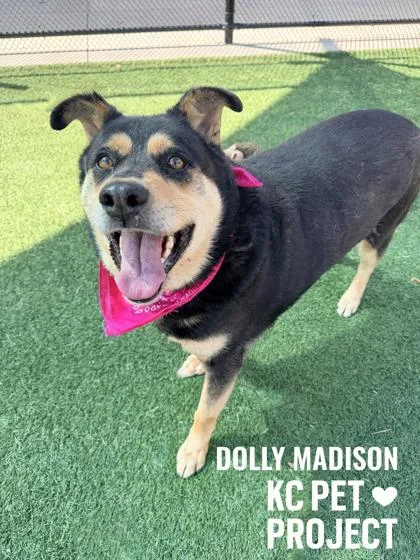 Dolly Madison thumbnail 3