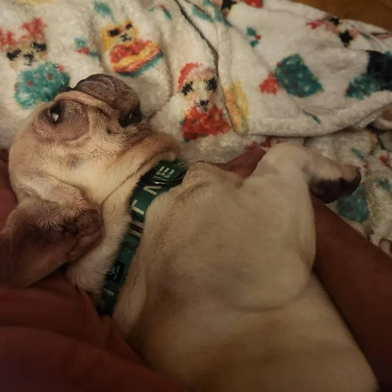 Sampson