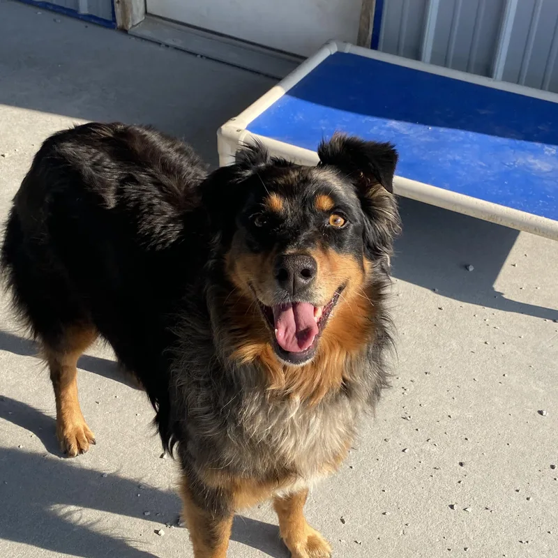 Ms. Stella thumbnail 2