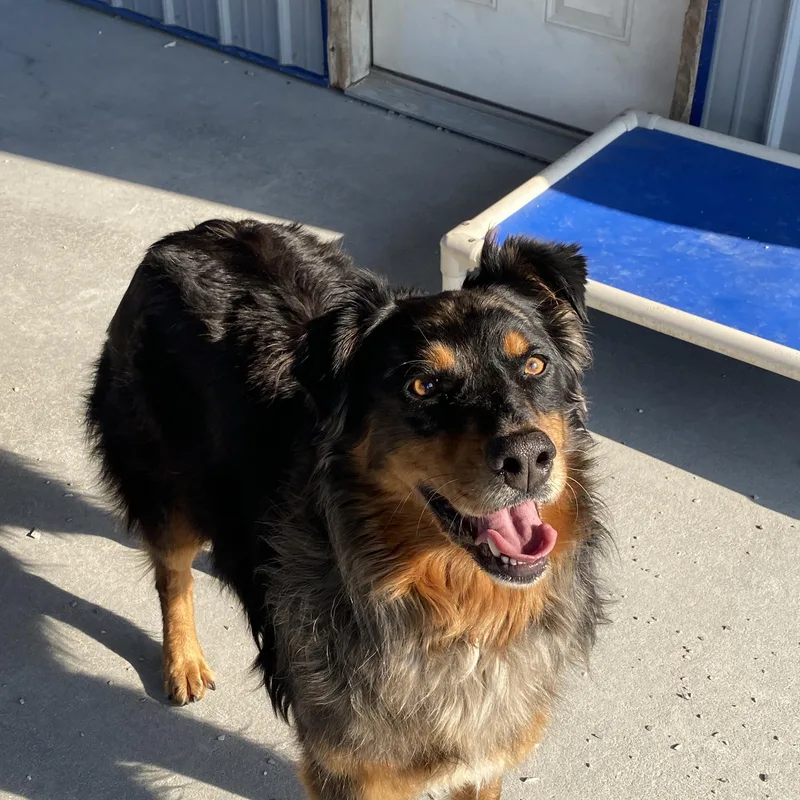 Ms. Stella thumbnail 5