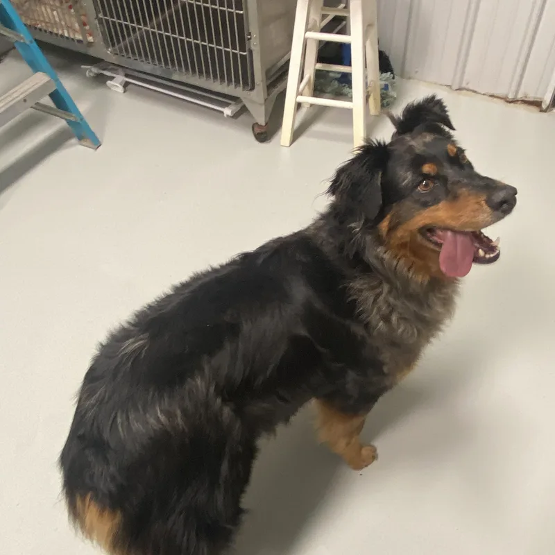 Ms. Stella thumbnail 6