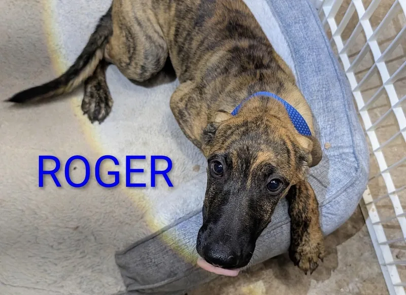 Roger