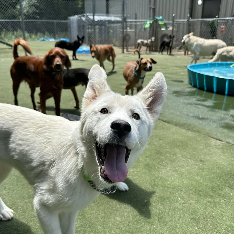 Bolt thumbnail 6