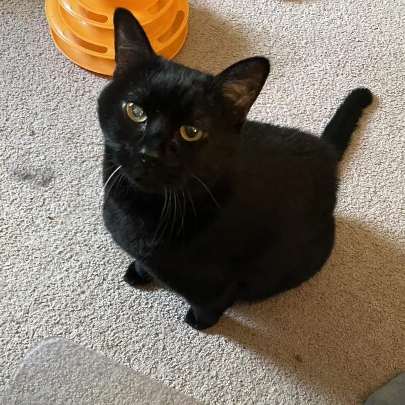 Milton Rayburn thumbnail 2